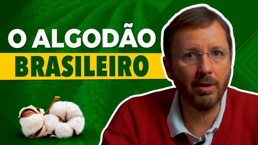 segredos do algodao brasileiro com marcos fava neves