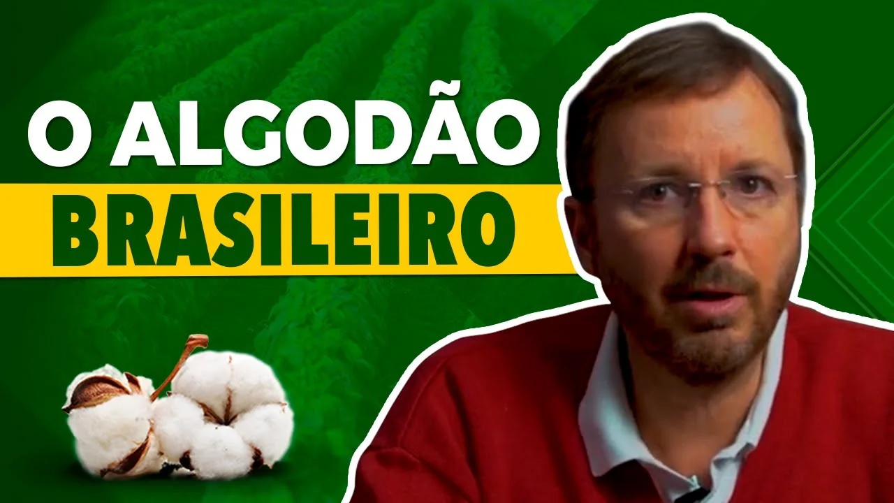 Segredos do Algodão Brasileiro com Marcos Fava Neves 1 segredos do algodao brasileiro com marcos fava neves