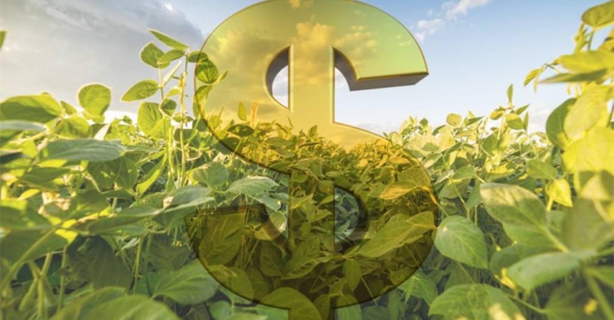 Seguro rural com fundo de catástrofe é a única saída, diz ex-ministro da Agricultura