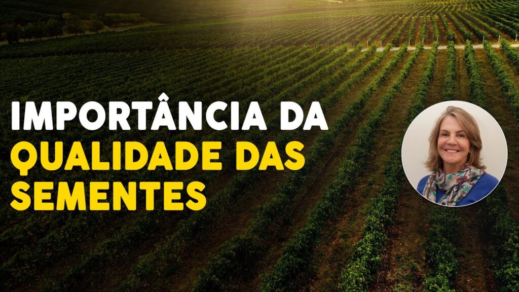 sementes de qualidade por que sao importantes