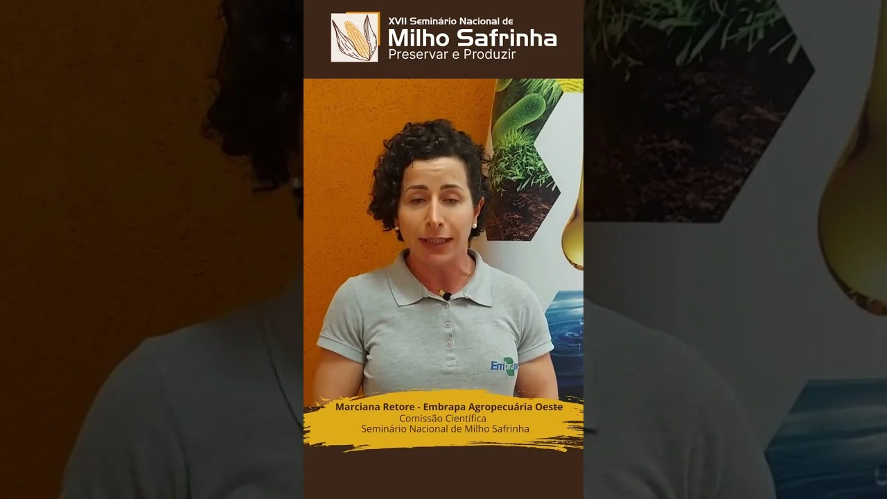 seminario nacional de milho safrinha oportunidade de contribuir para o avanco do conhecimento
