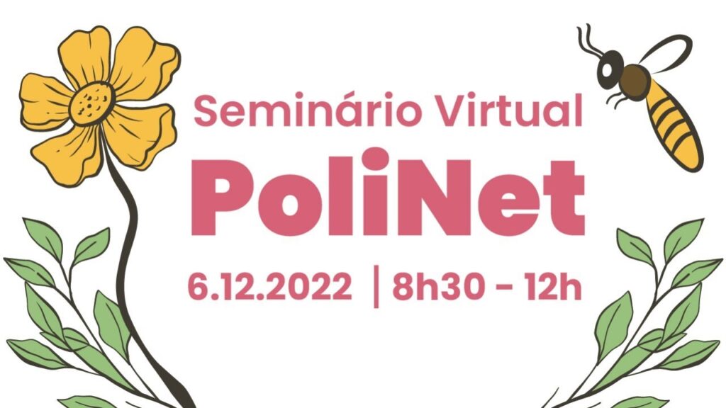 seminario virtual polinet