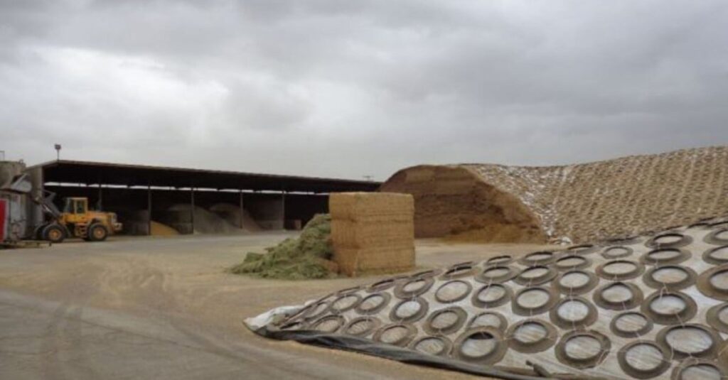 Silagem: cuidados para preservar a qualidade 2 Cuidados na retirada da silagem: preservando sua qualidade por mais tempo