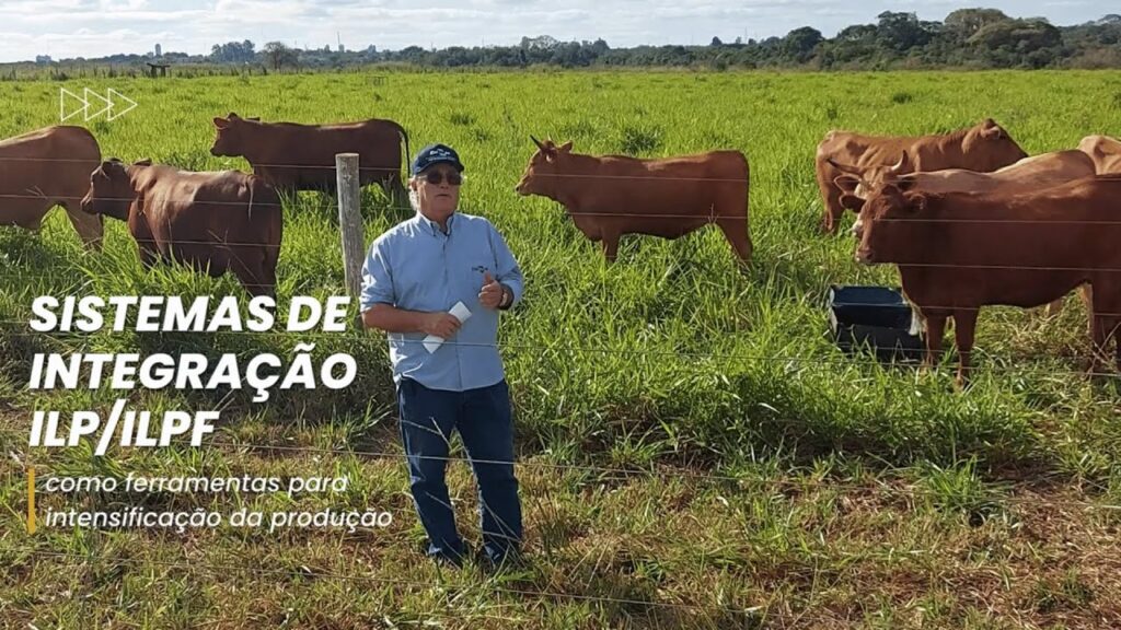 sip 2023 simposio sobre sistemas intensivos de producao julio cesar salton