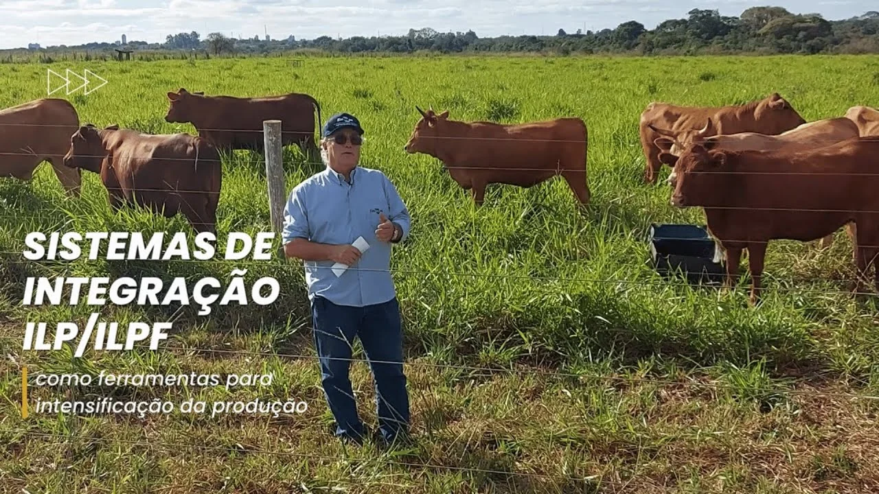 SIP 2023 – Simpósio sobre Sistemas Intensivos de Produção | Júlio Cesar Salton