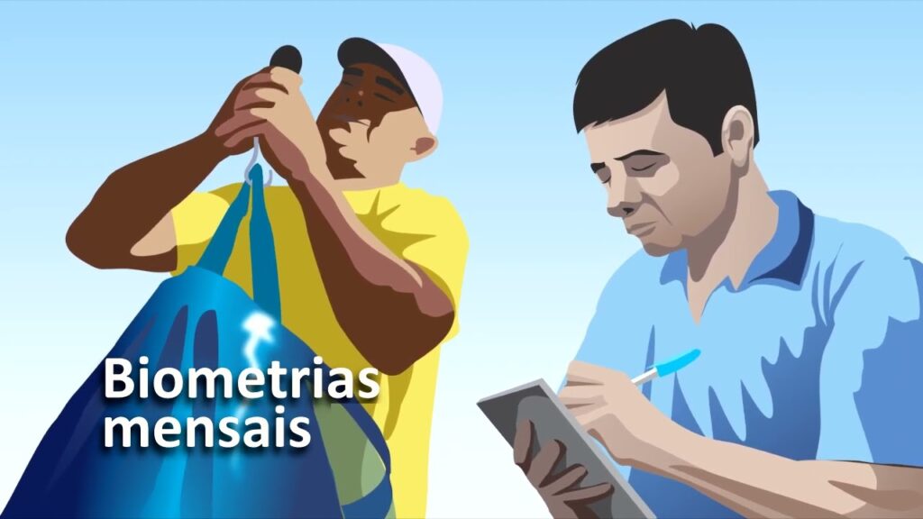 sistema de criacao de tambaquis em tanques rede em pequena escala