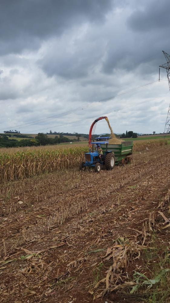 Solicite a Produção de Silagem pela Secretaria de Desenvolvimento Econômico