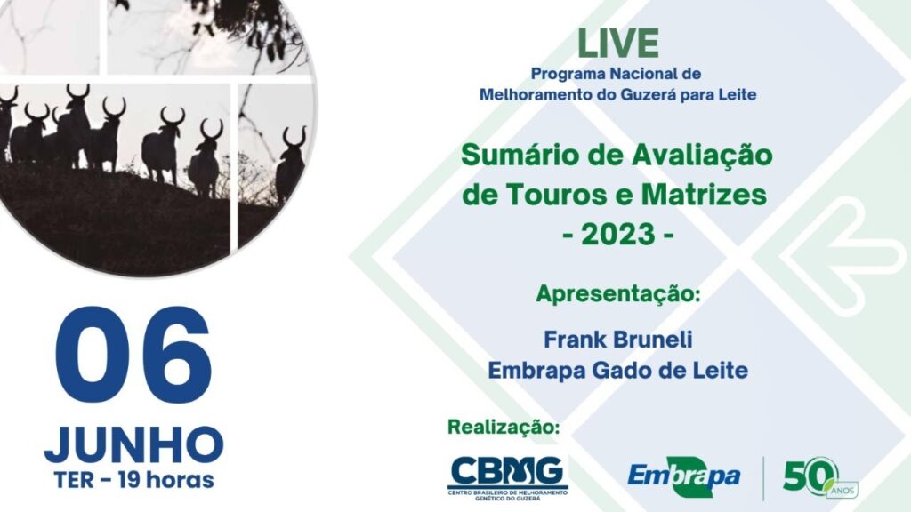 sumario de avaliacao de touros e matrizes guzera 2023
