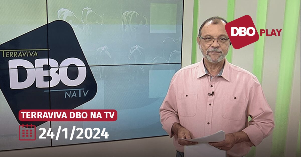 Terraviva DBO na TV | Programa completo intrigante!