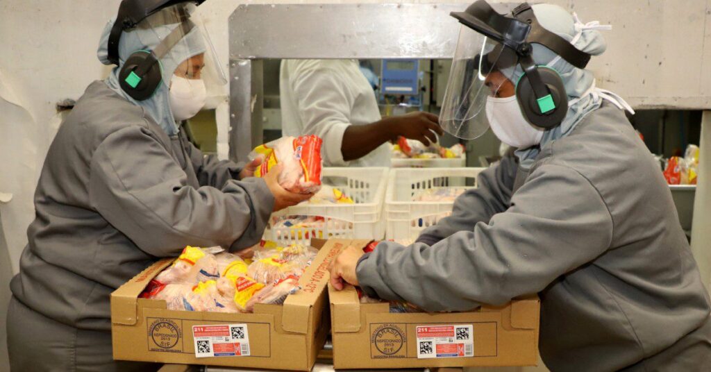 Agronegócio do PR faturou US$ 19,4 bi com exportações em 2023, alta de 16,2% • Portal DBO