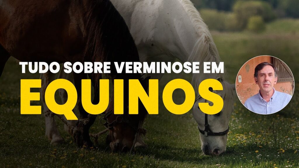 verminose em equinos tudo que voce deve saber