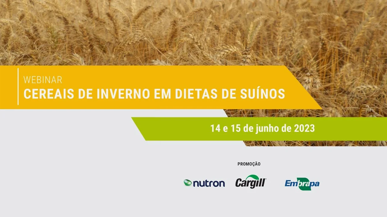 Webinar Cereais de Inverno em Dietas de Suínos - Dia 1 1 webinar cereais de inverno em dietas de suinos dia 1