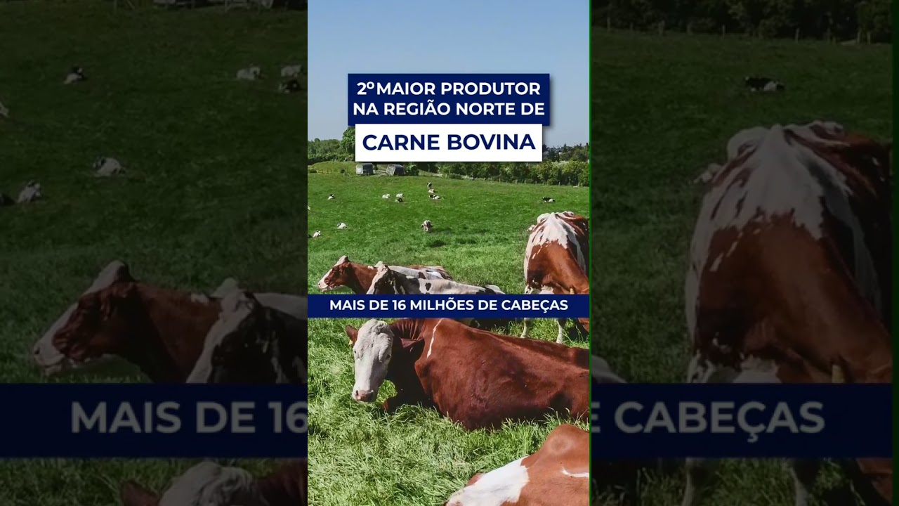 1 agro em rondonia curiosidadesf09f8cb1