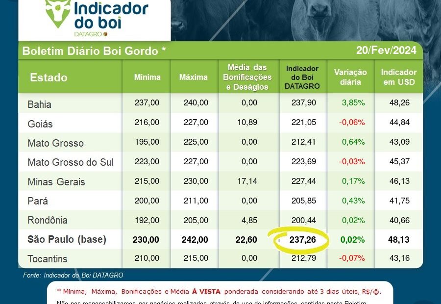 Balizador de preços do boi gordo GPB/DATAGRO – Boletim de 20-fevereiro-2024 - BeefPoint