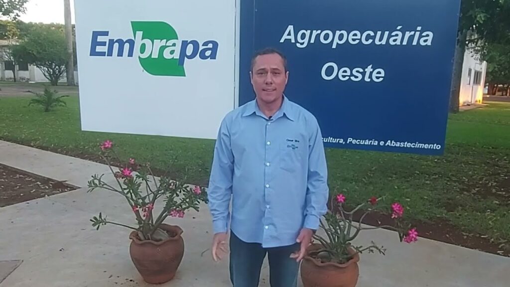 2o seminario canams pragas e doencas convite cesar jose da silva