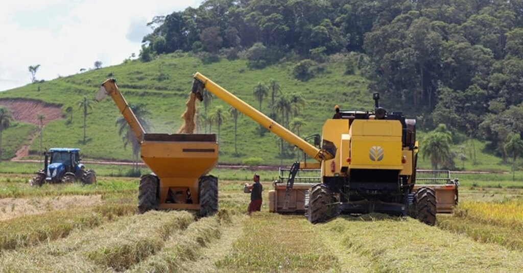 Safra do arroz movimentará cerca de R$50 milhões em Gaspar