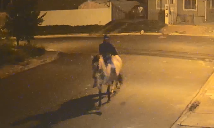Homem montado a cavalo tenta assaltar casa no Cará-Cará