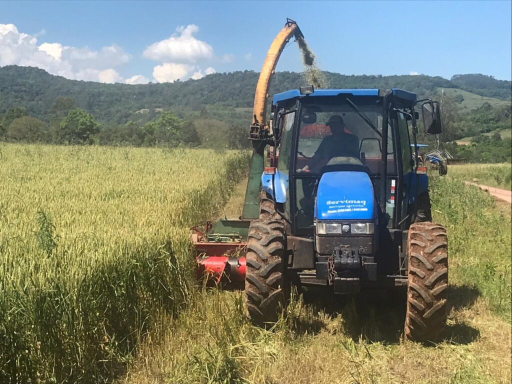 Abertas as inscrições para auxílio silagem para agricultores atingidos pelas cheias