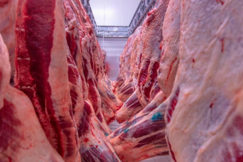 Brasil bate recorde nas exportacoes de carne bovina in natura