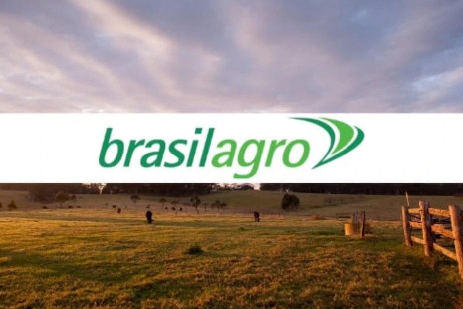 Prejuízo da BrasilAgro cai 55% no segundo trimestre de 2023/24