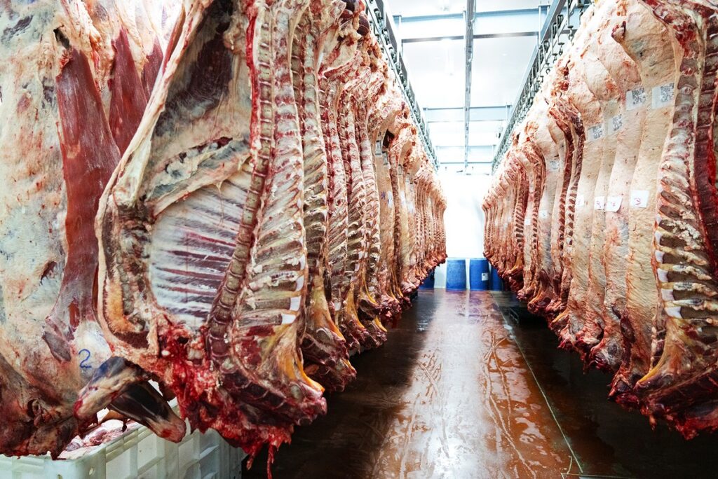 Canadá amplia área para compra de carne bovina brasileira | Boi