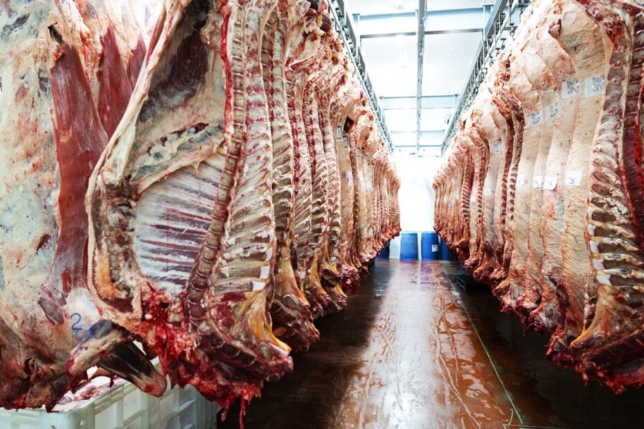 Canadá amplia área para compra de carne bovina brasileira | Boi