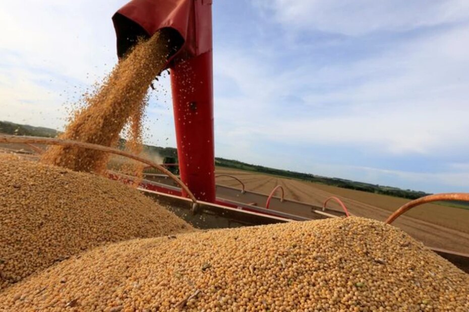 Colheita de soja do Brasil supera 30% da área