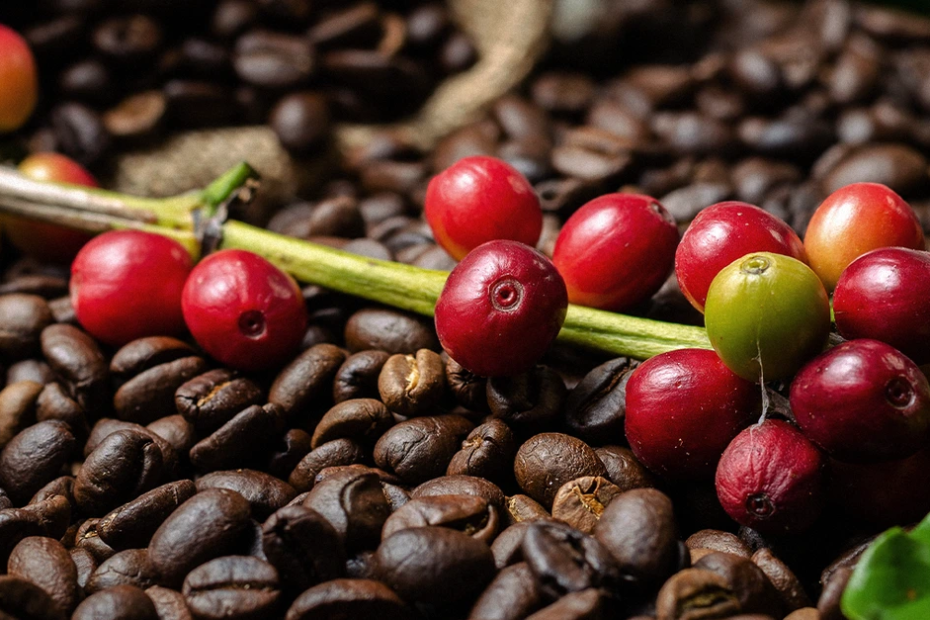 Consumo de café no Brasil cresce 1,64% em 2022/23