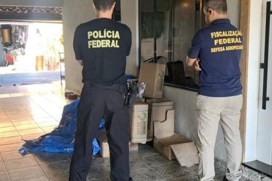 Fábrica clandestina de ração animal é fechada no Paraná