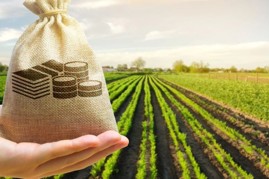 MAPA divulga dados do Boletim de Finanças Privadas do Agro