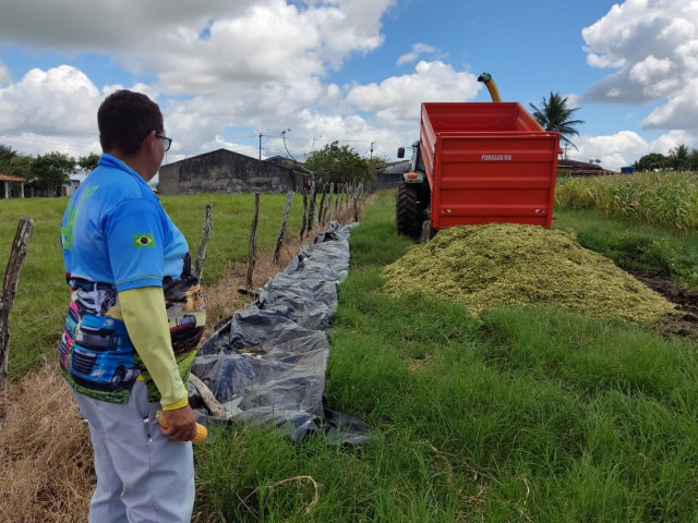 Agricultor acompanha colheita e produção de silagem