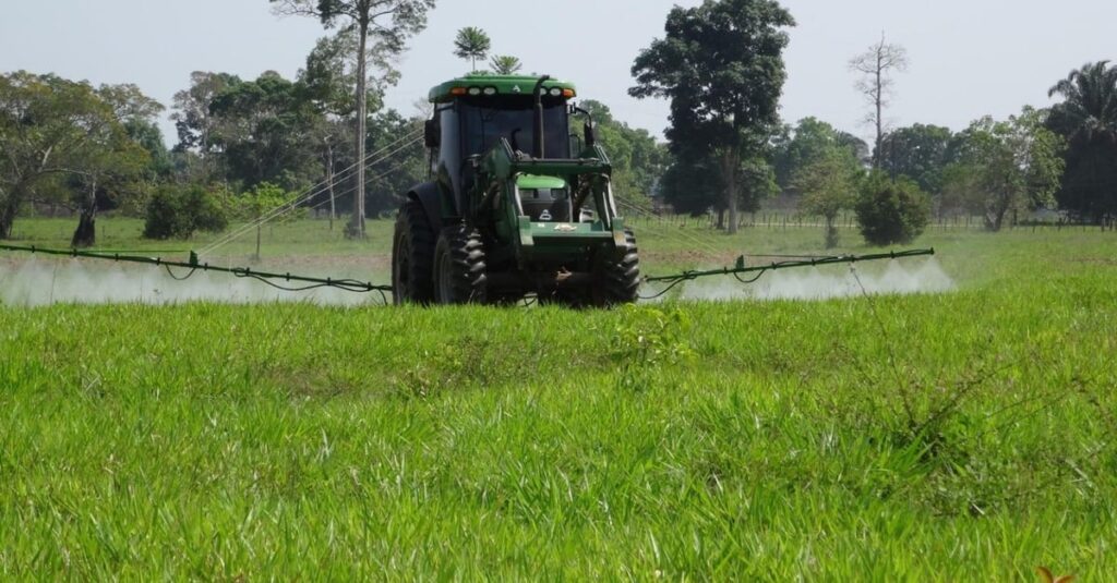 “Seu pasto é lavoura”: 9 questões que você precisa saber para não errar no manejo