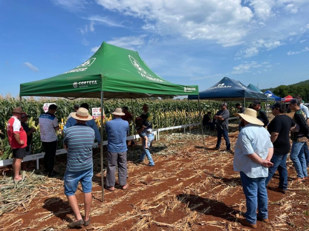 Copagril realiza Dia de Campo Milho Silagem no Paraná – O Presente Rural