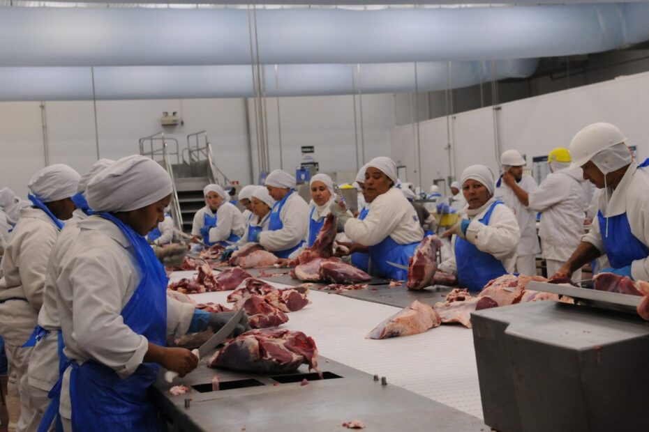 Pouco antes da chegada de Lula, Egito fecha acordo para aumentar importação de carne brasileira | Economia
