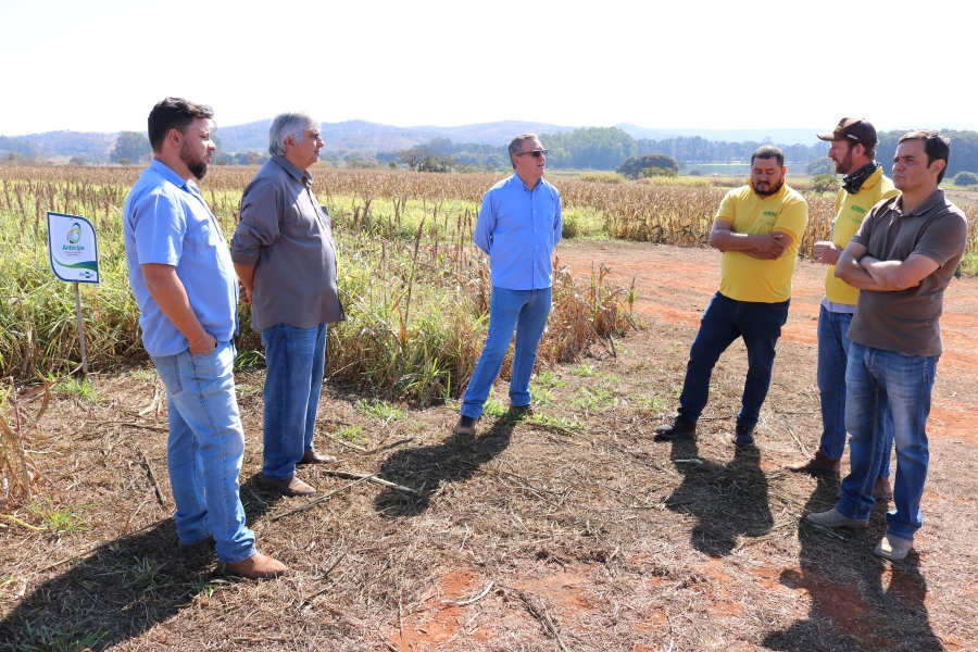 Tecnologias da Embrapa deverão compor Centro de Difusão Tecnológica do município de Boa Vista-RR