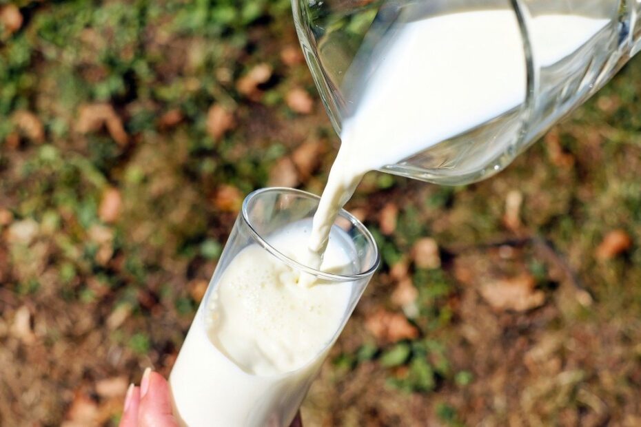 Leite vegetal x leite de vaca: estudo diz que um não substitui completamente o outro