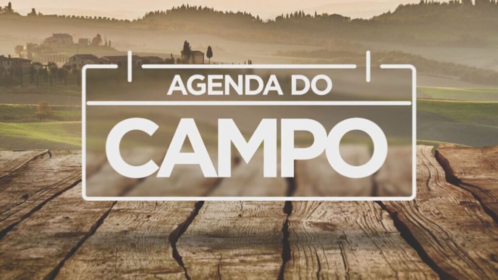 Agenda do campo: Ponta Grossa recebe evento tecnológico de agropecuária - G1