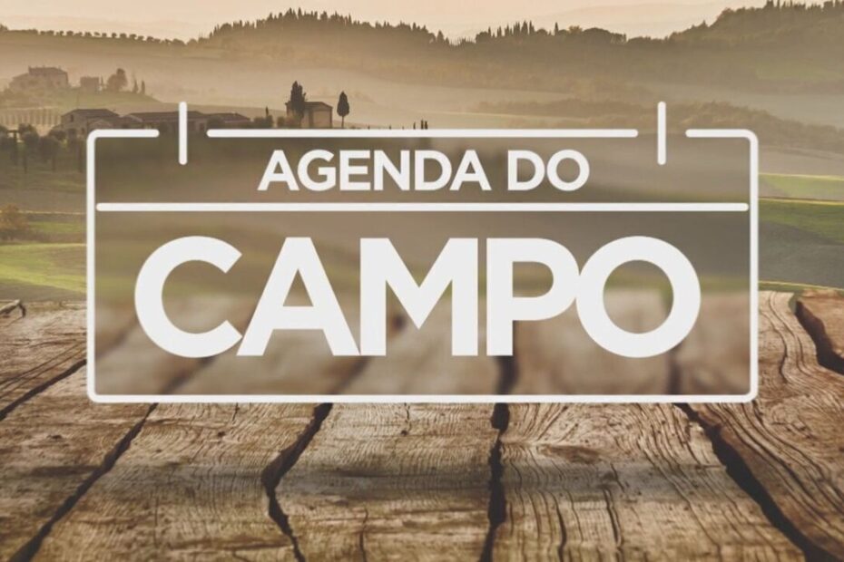 Agenda do campo: Ponta Grossa recebe evento tecnológico de agropecuária - G1
