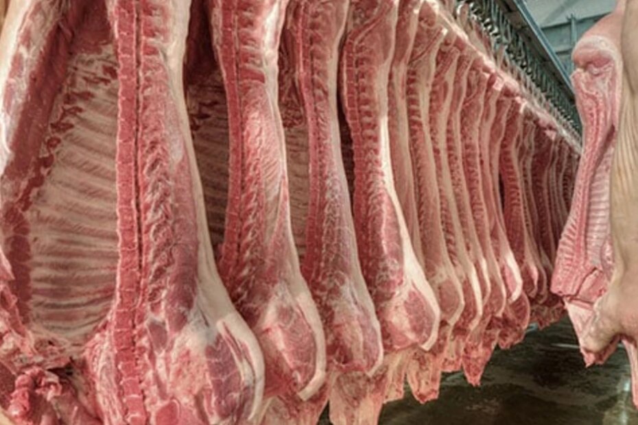 Exportações de carne suína crescem 11,7% em janeiro