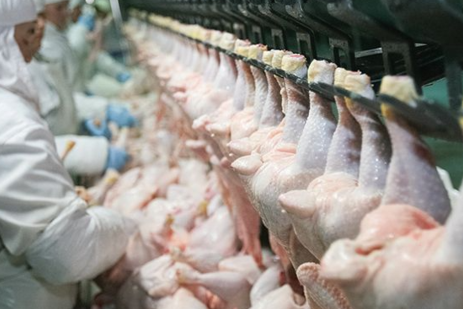 Certificado digital facilita exportações de carne de aves para a União Europeia • Portal DBO