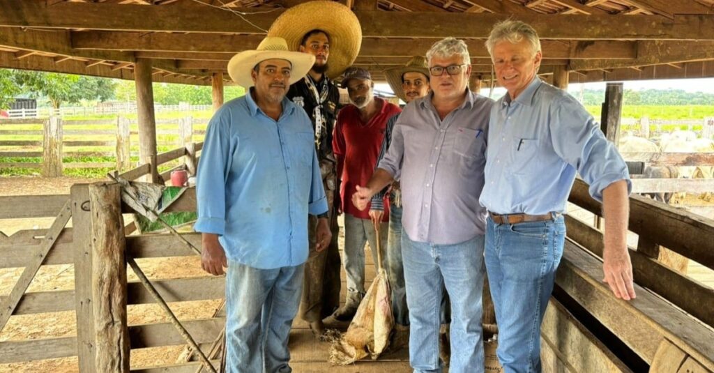 Gadão de celeiro de genética de ponta chega a 24@ no interior de Rondônia