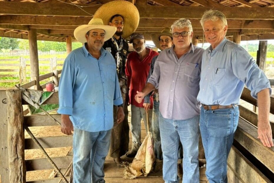 Gadão de celeiro de genética de ponta chega a 24@ no interior de Rondônia