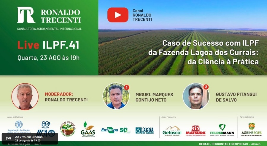 Live Caso de sucesso com ILPF da Fazenda Lagoa dos Currais acontece hoje, 23 de agosto, às 19 horas