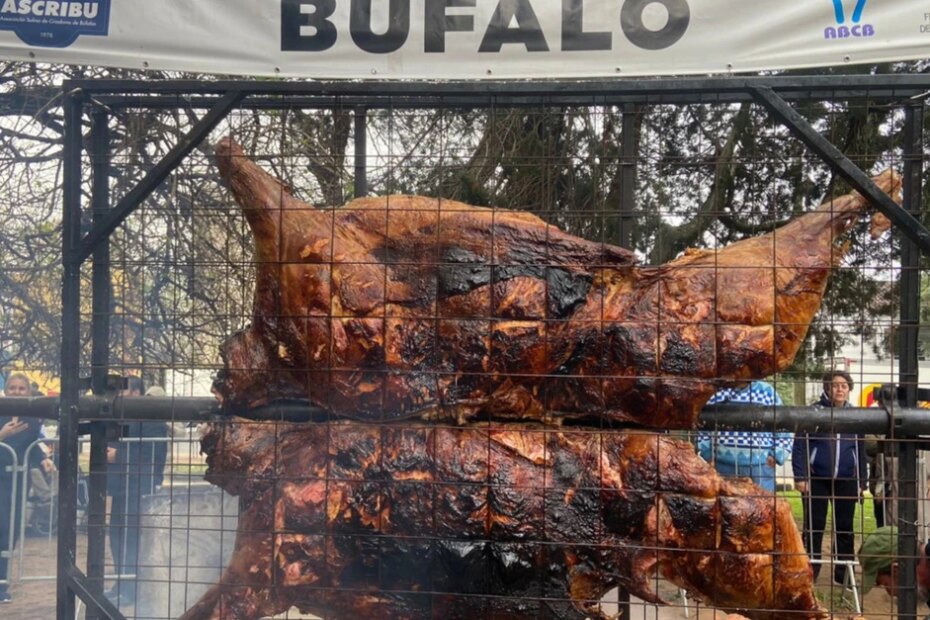 Meia tonelada de carne de búfalo assada será destaque em feira