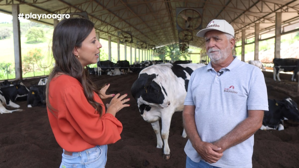 Descubra como o milho interfere na qualidade do leite | EP Agro