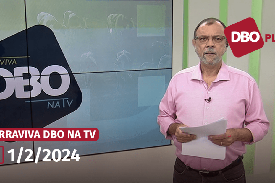 Terraviva DBO na TV | Veja o programa completo de quinta-feira, 1 • Portal DBO