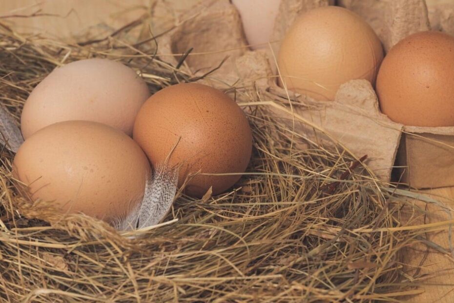 Ovos ficam mais caros; salário na conta e volta às aulas são os responsáveis