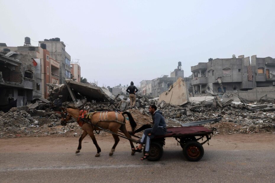 Palestinos comem cavalos para sobreviver à fome na Faixa de Gaza | Mundo