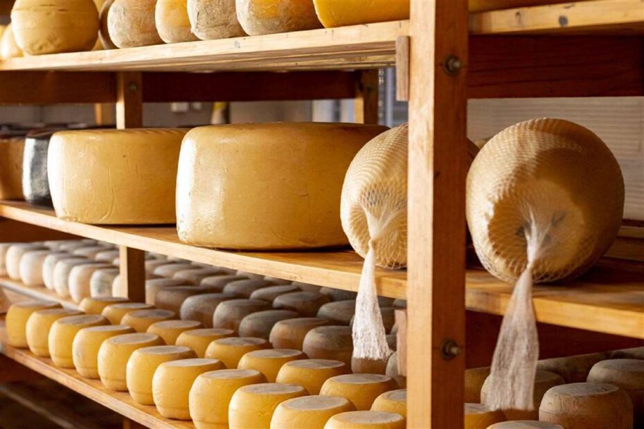 Por que o queijo esta conquistando o mundo