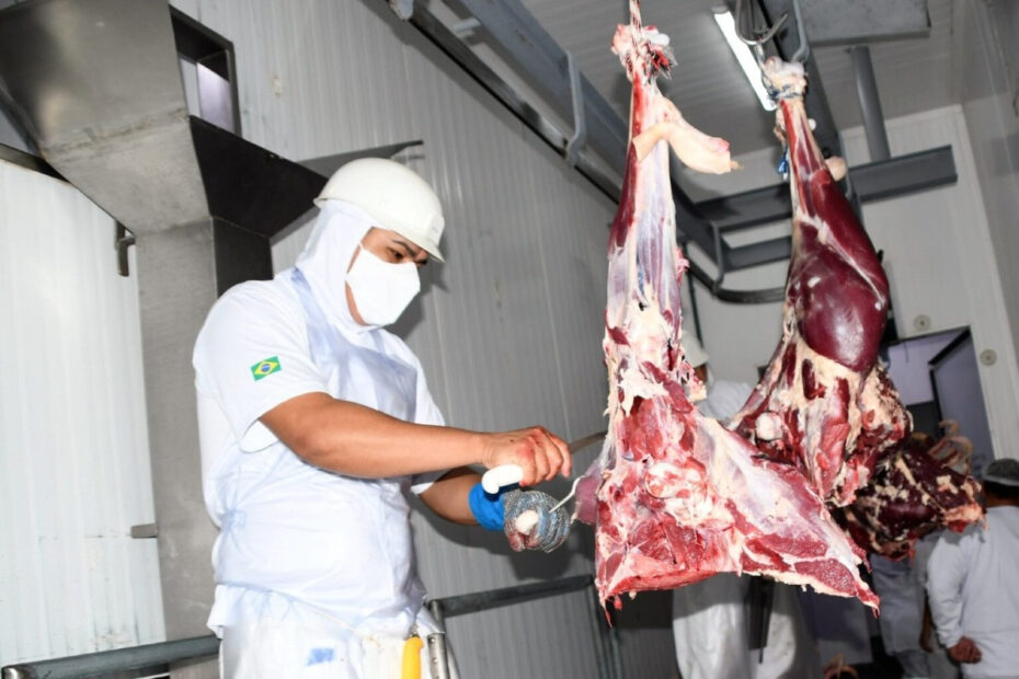 Preços do boi gordo e da carne bovina seguem enfraquecidos em fevereiro | Notícias de Campo Grande e MS